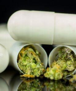 Pharmaceuticals Flower